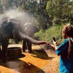 Jerrika Hinton Instagram - Joyful tears, rain, rivers and sea. I want to believe they were tiny little baptisms every day. Feeding elephants, talking to monks (thank you Phra Jan), feeling the warm, sacred air of the temples rush through our spirits. Tiny little baptisms. Little blessings. Little gems in the oceans of people, land, water and conversations. (We think of you, Yui!) So much water. Toni Morrison’s words come to me: “All water has perfect memory and is forever trying to get back to where it was.” Kop khun kha. Thailand