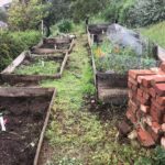 Jerrika Hinton Instagram – I have been bouncing back and forth (at home, ofc) between Madame QuaranTina Turner and Pioneer Mountain Woman. Y’all look at this overhaul I did to my garden ALL BY MYSELF!!! 💪🏾💥💪🏾💥💪🏾 (This gets a permanent spot on the timeline 🏆)