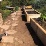 Jerrika Hinton Instagram – I have been bouncing back and forth (at home, ofc) between Madame QuaranTina Turner and Pioneer Mountain Woman. Yβall look at this overhaul I did to my garden ALL BY MYSELF!!! πͺπΎπ₯πͺπΎπ₯πͺπΎ (This gets a permanent spot on the timeline π)