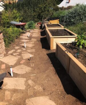Jerrika Hinton Instagram - I have been bouncing back and forth (at home, ofc) between Madame QuaranTina Turner and Pioneer Mountain Woman. Y’all look at this overhaul I did to my garden ALL BY MYSELF!!! 💪🏾💥💪🏾💥💪🏾 (This gets a permanent spot on the timeline 🏆)