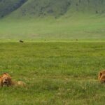 Jerrika Hinton Instagram – Dear Diary,
We are so, so blessed. Ashe, ashe, ashe.
•
Ngorongoro Crater, Tanzania