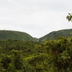 Jerrika Hinton Instagram – Dear Diary,
I want to remember “you are my blood,” all the small airports and helpful hands, Adam & Mollel, the village school, acacia trees and the smell of that one herb. Ashe.
•
Ngorongoro, Tanzania