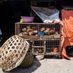 Jerrika Hinton Instagram – Dear Diary,
Remember the dried octopus? Khariallah and the five hour food tour? The guavas, mangoes and breadfruit? Demon steps? And the sunsets over the Indian Ocean? Asante.
•
Stonetown, Zanzibar Tanzania