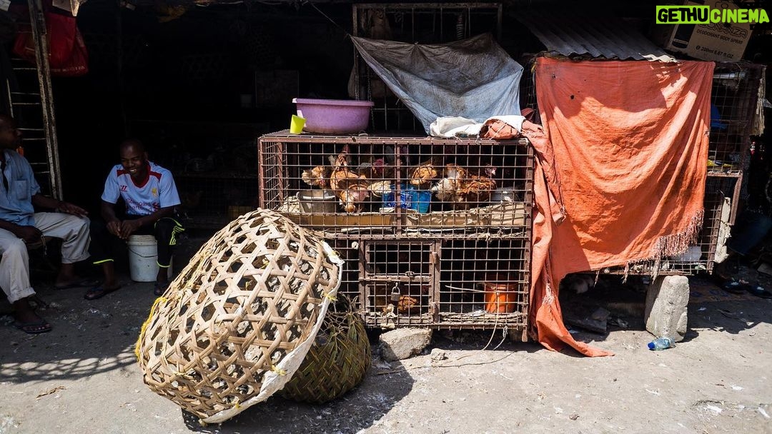 Jerrika Hinton Instagram - Dear Diary, Remember the dried octopus? Khariallah and the five hour food tour? The guavas, mangoes and breadfruit? Demon steps? And the sunsets over the Indian Ocean? Asante. • Stonetown, Zanzibar Tanzania