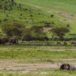 Jerrika Hinton Instagram - Dear Diary, We are so, so blessed. Ashe, ashe, ashe. • Ngorongoro Crater, Tanzania