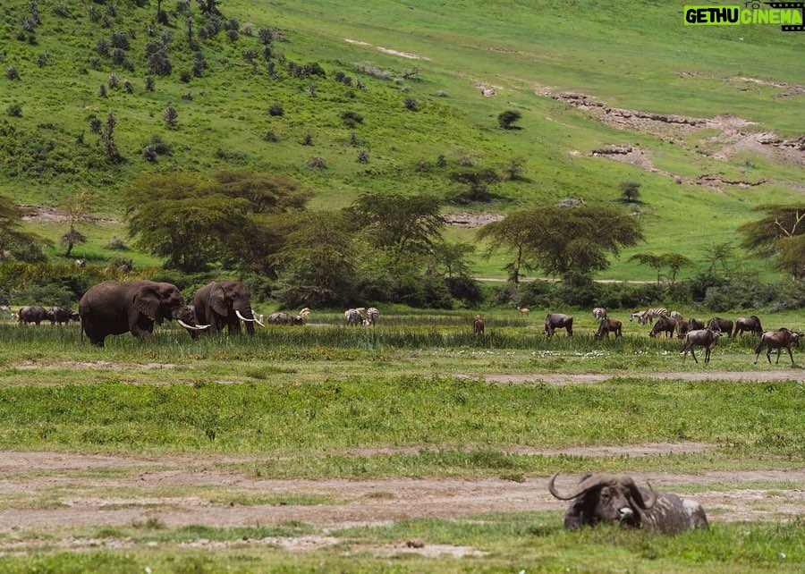 Jerrika Hinton Instagram - Dear Diary, We are so, so blessed. Ashe, ashe, ashe. • Ngorongoro Crater, Tanzania
