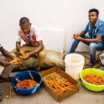 Jerrika Hinton Instagram - Dear Diary, Remember the dried octopus? Khariallah and the five hour food tour? The guavas, mangoes and breadfruit? Demon steps? And the sunsets over the Indian Ocean? Asante. • Stonetown, Zanzibar Tanzania