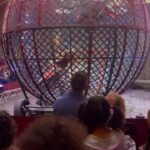 Jessica-Jane Stafford Instagram - @zyair_circus brilliant, a little hot 🥵 but brilliant..?! #zyaircircus
