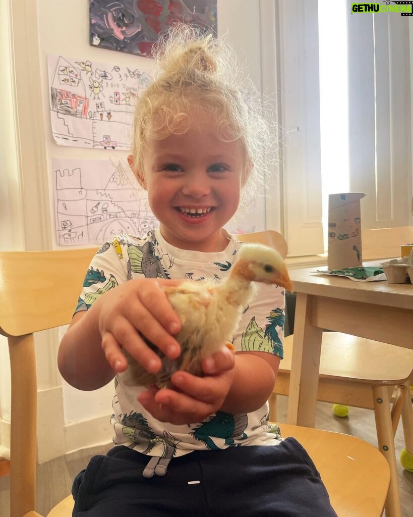 Jessica-Jane Stafford Instagram - Valentine being trusted to hold one of the chicks at school! Rumour has it he’s still holding it!