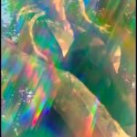 Jessica Cook Instagram - Sept 2023 “Earth, Wind & Fire” Created by: @raquelhoque @dankmagazinecollective