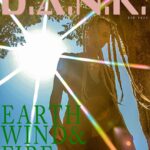 Jessica Cook Instagram - D.A.N.K “Earth, Wind & Fire” Created by: @raquelhoque Model: @jessicamcook Assist: @go_for_neens @dankmagazinecollective Los Angeles, California