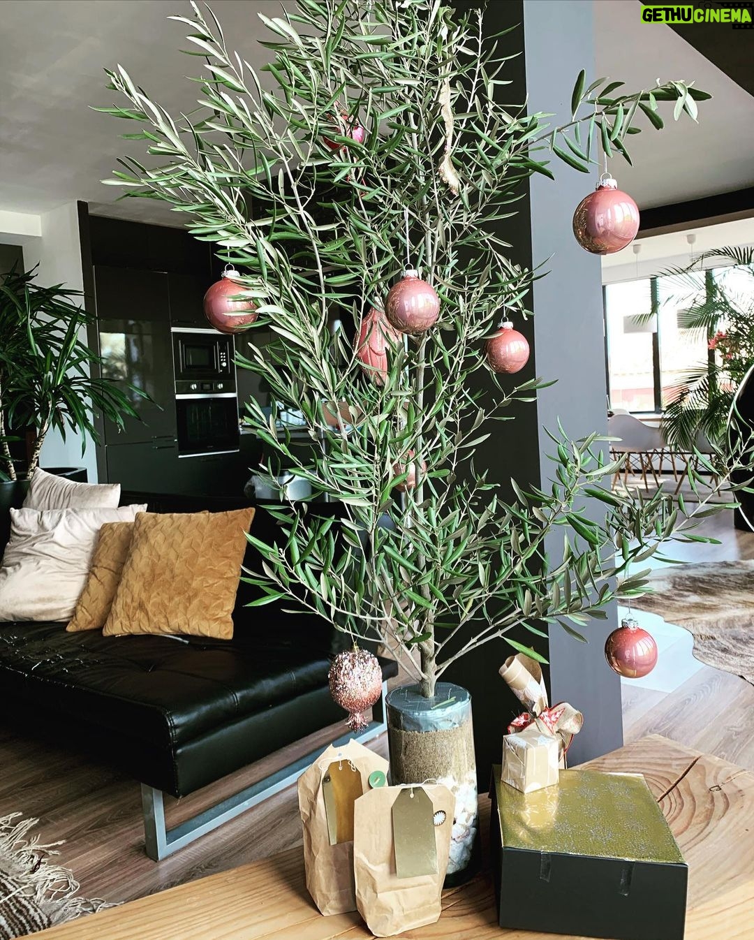Jessica Schwarz - 1.4K Likes - Allen einen schönen Nikolausitag, bei mir mit Olivenweihnachtsbaum ☺️ #mussnichtimmertannesein#überraschunvommann#danke❤️