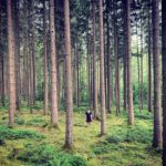 Jessica Schwarz Instagram - Schwarzwald-Quarantäne 🌲🌲#einmädchenstehtimwalde#naturmachtglücklich#twodaystogo#schwarzwaldkrimi#zdf Loßburg