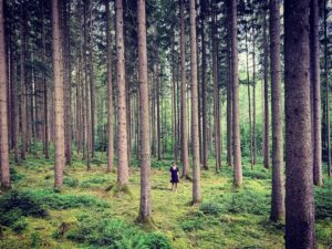 Jessica Schwarz Instagram - Schwarzwald-Quarantäne 🌲🌲#einmädchenstehtimwalde#naturmachtglücklich#twodaystogo#schwarzwaldkrimi#zdf