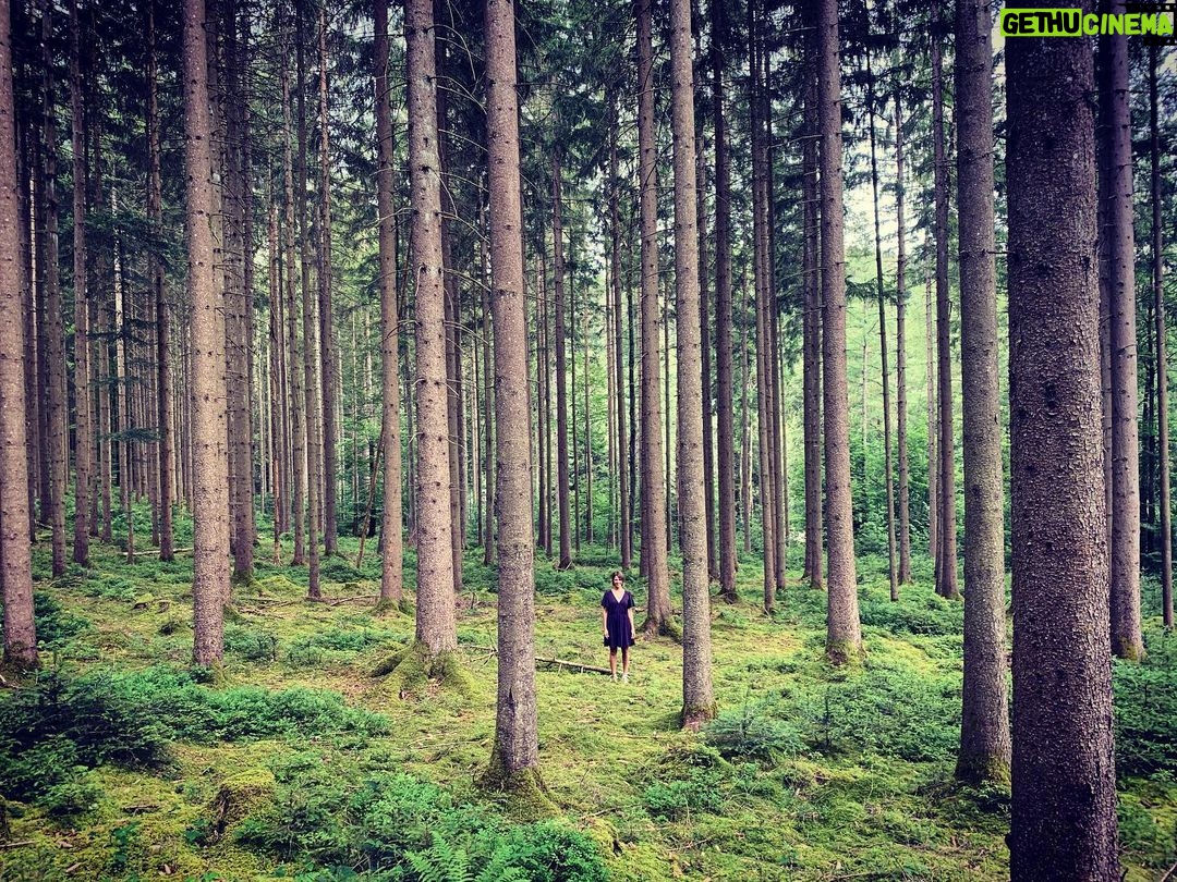 Jessica Schwarz - 1.7K Likes - Schwarzwald-Quarantäne 🌲🌲#einmädchenstehtimwalde#naturmachtglücklich#twodaystogo#schwarzwaldkrimi#zdf