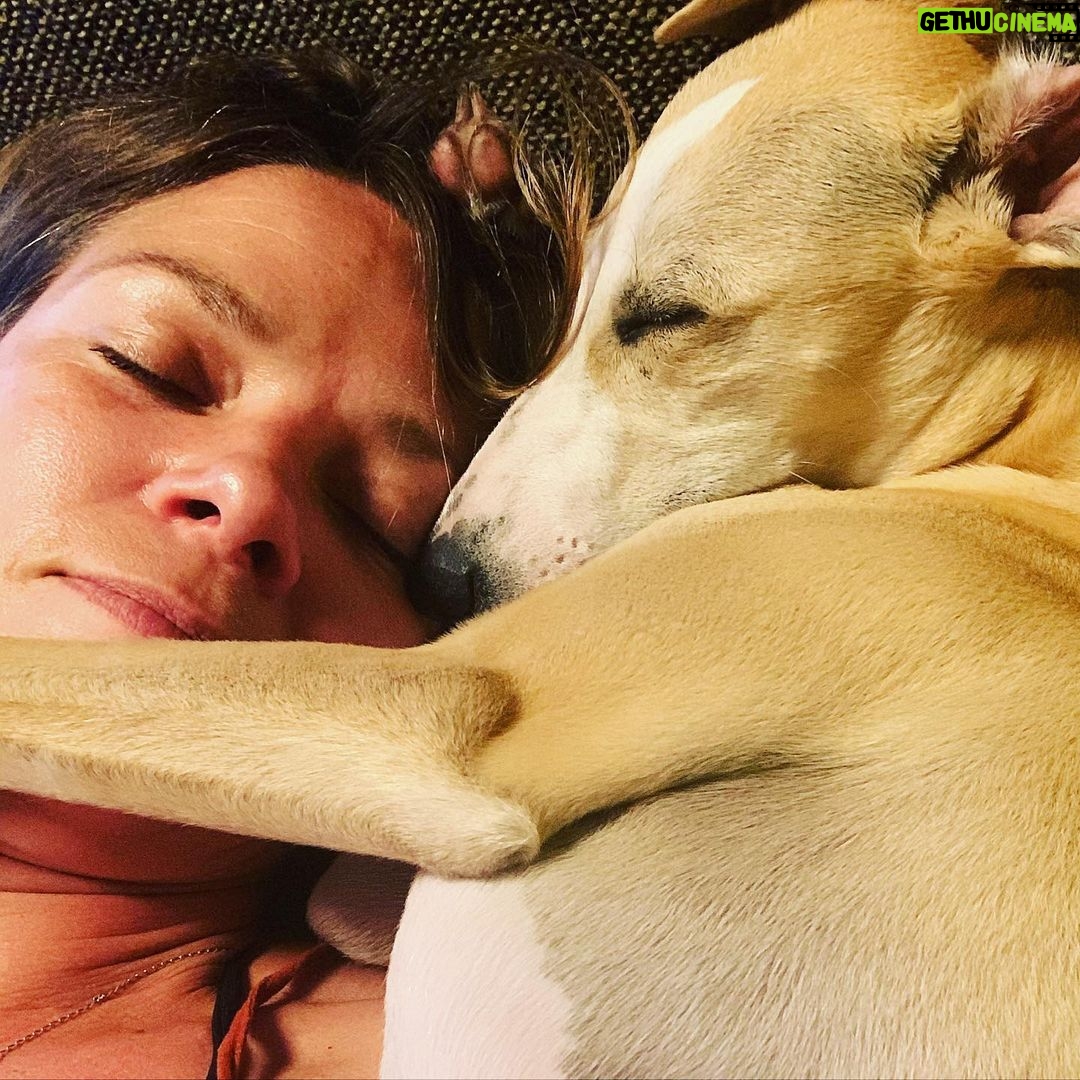 Jessica Schwarz - 2.2K Likes - Welpen-sitting, nur wer sittet hier wen:-) Mittagsschläfchen muss aber mal sein 😴 #whippet#welpe#jetztabindensee
