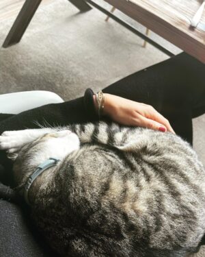 Jessica Schwarz Instagram - Wenn die Mutti wieder zu Hause ist 😻 #catlovers#elizabete#mauz
