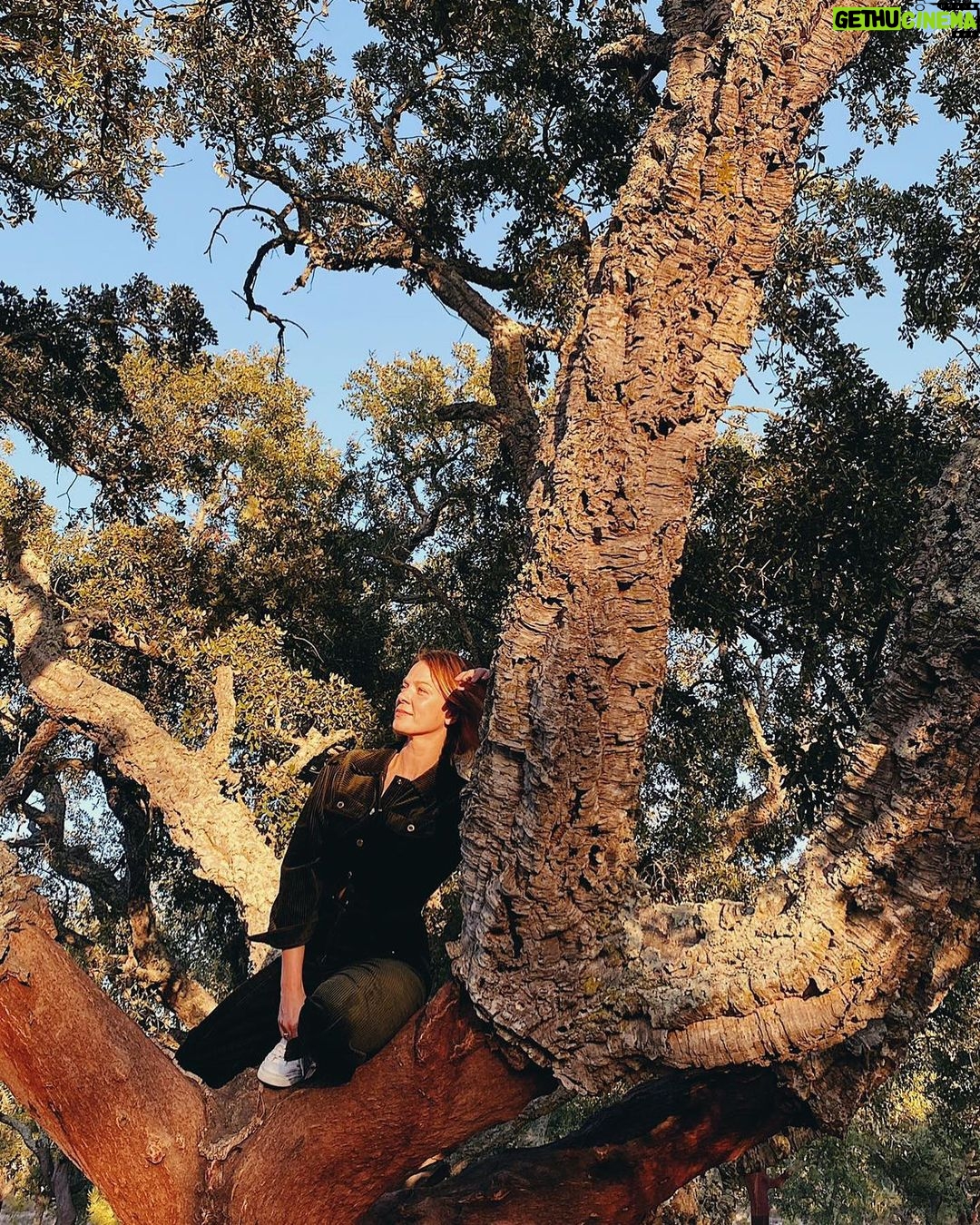 Jessica Schwarz - 1.6K Likes - Spontanes Shooting mit der wunderbaren @zaucke in Portugal #wirkletternvielzuseltenaufbäume#abendsonnegeniessen☀️#wiekommichnochmalrunter🙃