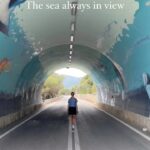 Jessica Schwarz Instagram - #portugal#arrabida#setubal#closedroad#seaview#sardinas Portugal