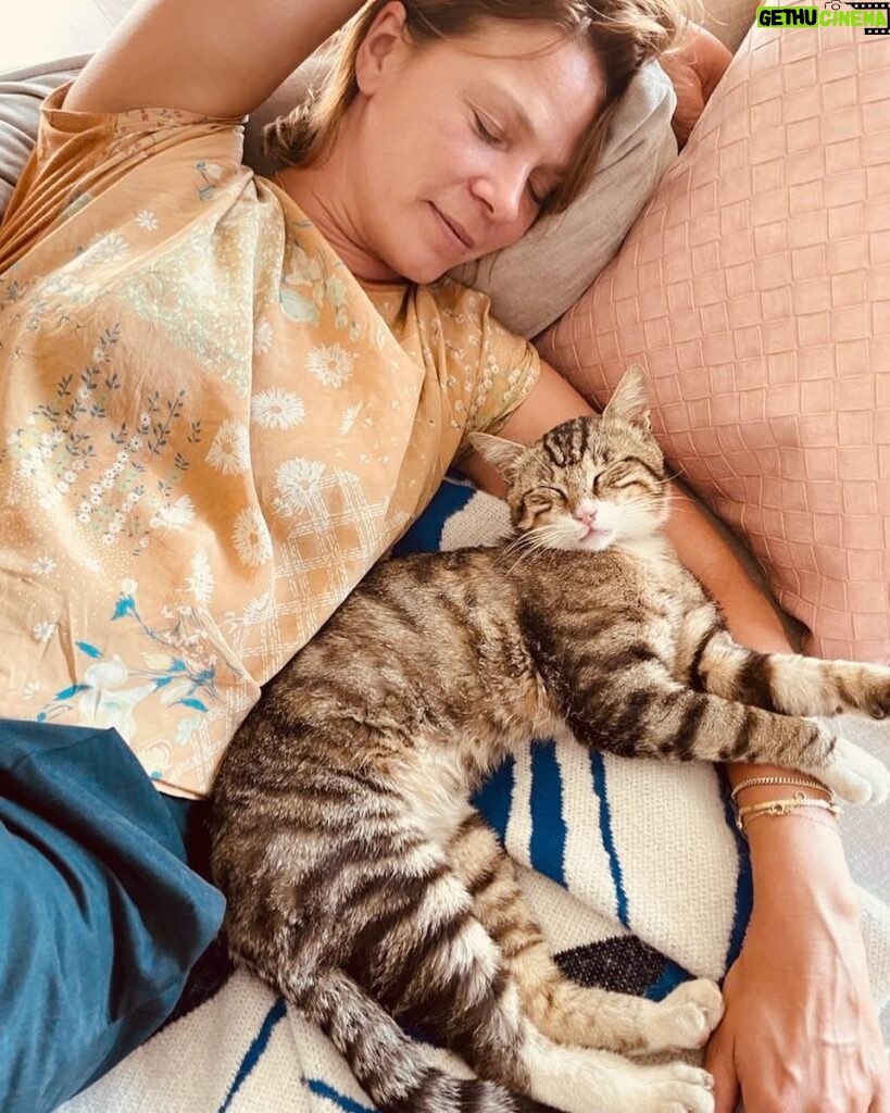 Jessica Schwarz Instagram - Katze mit Kater😻 Er kam, fraß und blieb … #okstay#siesta#catlover#wildone#tigerking