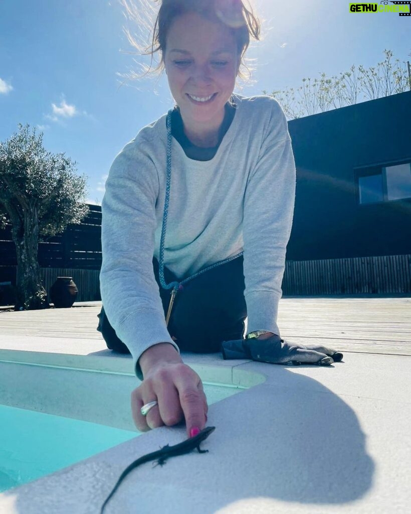 Jessica Schwarz Instagram - Jeden Tag eine gute Tat🦎 Pool Rettungsaktion geglückt... #wildlife#kälteschock#backtonature