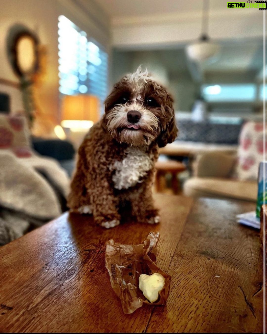 Jessica St. Clair Instagram - Cookie butter. @cookiecalicavapoo