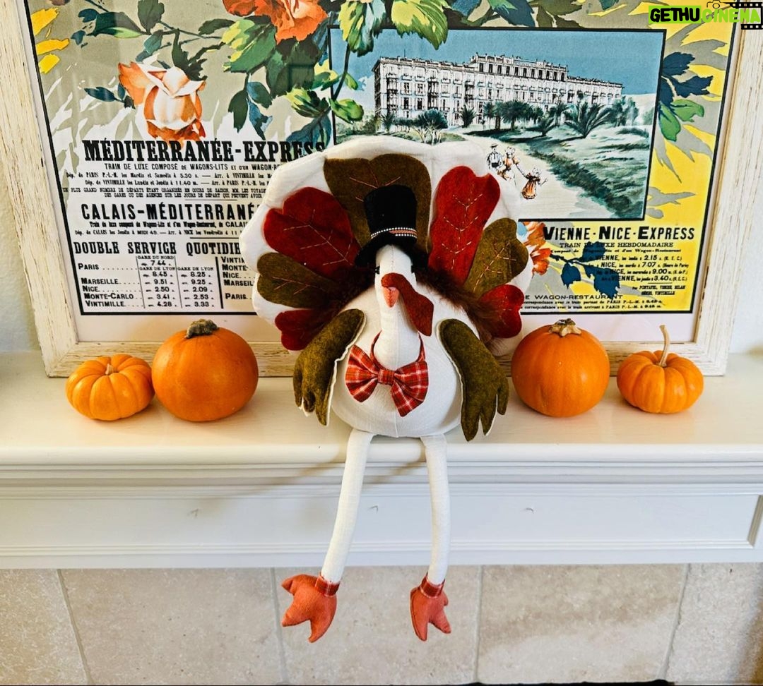 Jessica St. Clair Instagram - Oops I did it again...#coastalgrandma #talkinturkey