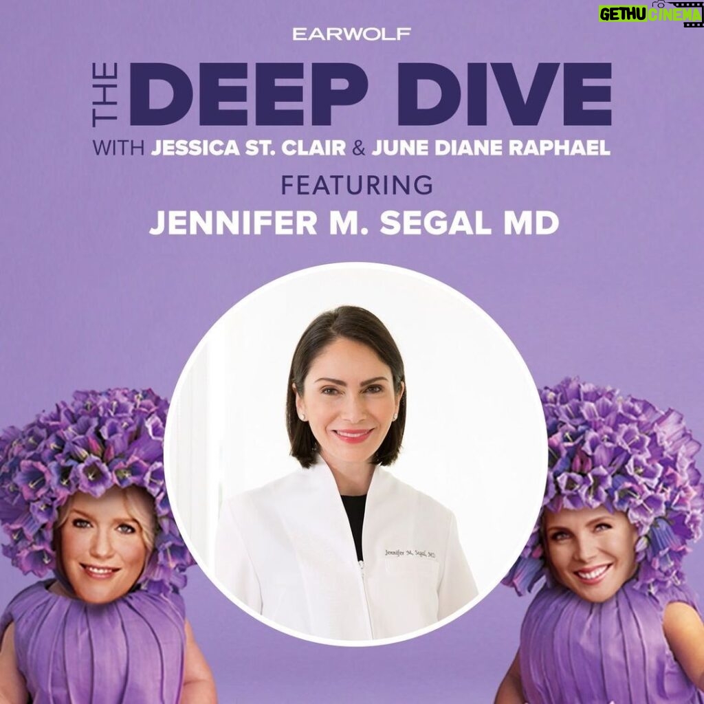Jessica St. Clair Instagram - The most INFORMATIVE chat with Dr. Jennifer M. Segal, dermatologist to the literal stars in today's DEEP DIVE. For more info, run don't walk to http://www.metropolitaninstitute.com/!!!! Link in bio as well!