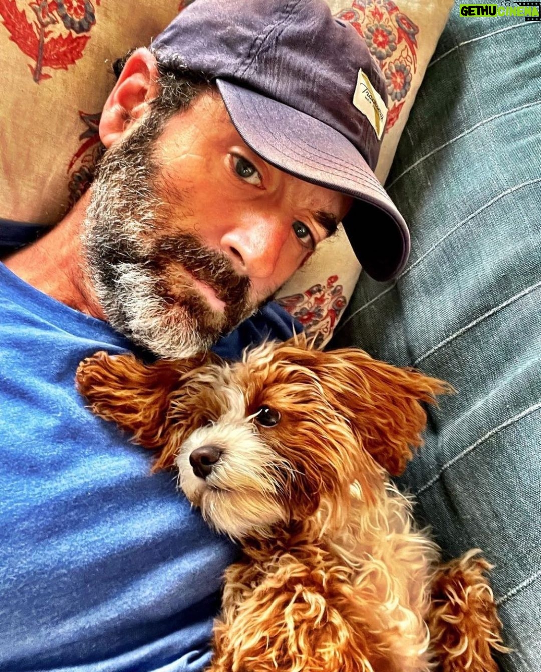 Jessica St. Clair Instagram - Thirst trap. @bydanobrien @cookiecalicavapoo