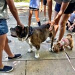 Jessica St. Clair Instagram - When @cookiecalicavapoo met Sgt. Meatball, deference was shown. @junediane