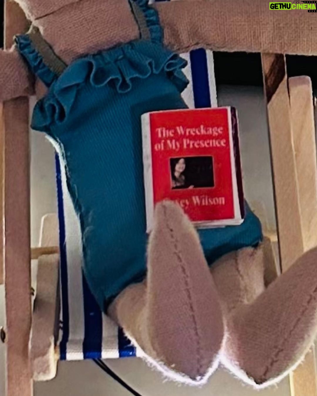 Jessica St. Clair Instagram - These two lucky mice flew south for the winter...scroll to see what they're reading poolside! Miniatures courtesy of @mcsminis @caseyrosewilson @junediane @iamkulap
