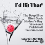 Jessica St. Clair Instagram - "I’D HIT THAT” - part show/part tournament/entirely sexy. Come to watch the competition, enjoy a boozy brunch, or even step up to the net and play pickleball with one of us! Powered by our incredible sponsors! @europeanwax @saaltco @thejaneclub . Link for tickets in bio! *Dress Code Obviously forthcoming! Link in bio!