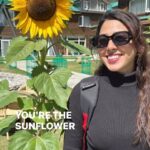 Jheel Mehta Instagram - 🌻🌻🌻🌻🌻
