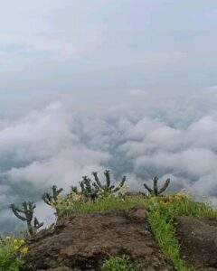 Jheel Mehta Instagram - Photo dump from up in the clouds 🌤️🌄 Swipe to the last video to look at the mesmerizing view from up there! The hike was totally worth it 💯 Had so much fun with my friends and two creative art directors (slide 4) 😂