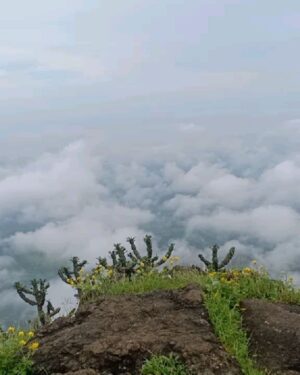 Jheel Mehta Instagram - Photo dump from up in the clouds 🌤️🌄
Swipe to the last video to look at the mesmerizing view from up there! The hike was totally worth it 💯
Had so much fun with my friends and two creative art directors (slide 4) 😂