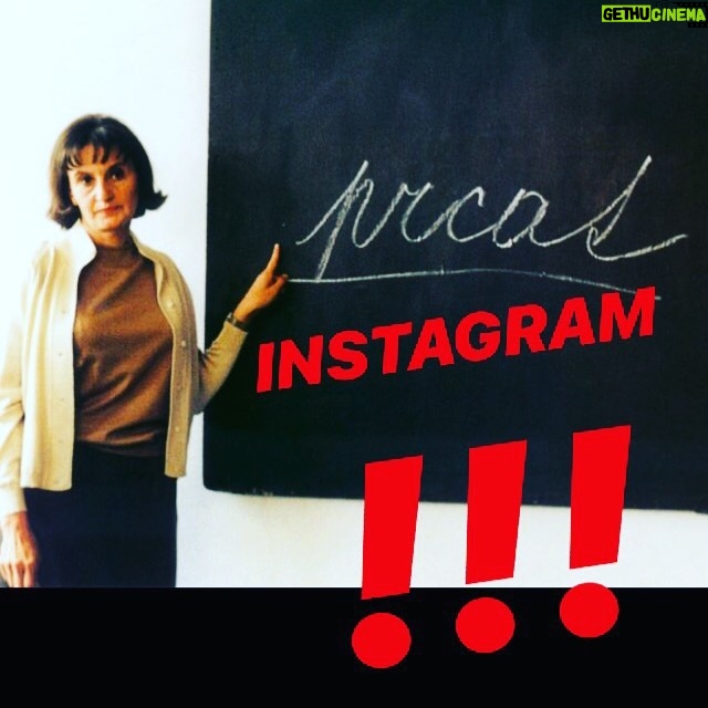 Jiří Mádl - 1.5K Likes - Miro rikal, at to sem nedavam.