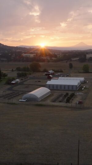 Jim Belushi Instagram - The sunset over @jim_belushi‘s farm in the beautiful state of Oregon 🌞

Not seen - the massive amounts of cannabis growing inside the farm 👀 🍃 Don’t miss the season premiere of #GrowingBelushi tonight at 9p ET.