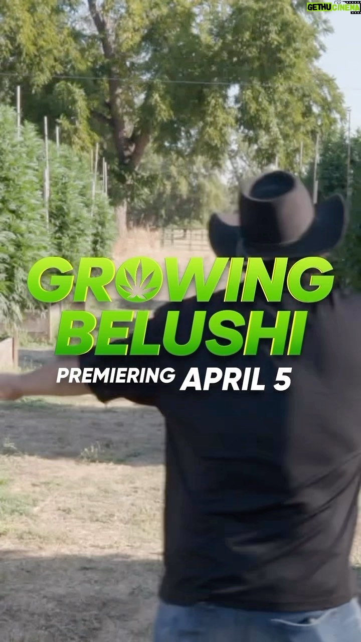 Jim Belushi Instagram - The new season of Growing Belushi premieres this Wednesday, April 5th, at 9pm ET/PT on Discovery Channel! 🪴