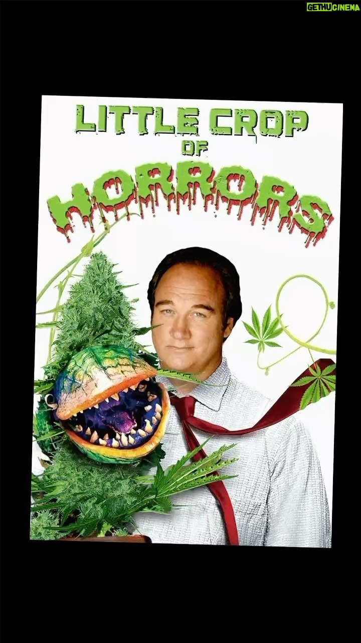 Jim Belushi Instagram - Weed me Seymour! 🪴