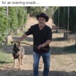 Jim Belushi Instagram – A little to accurate… 🤨