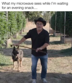 Jim Belushi Instagram - A little to accurate… 🤨
