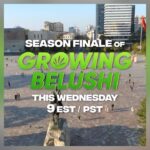 Jim Belushi Instagram – TONIGHT on @discovery channel – 9 EST/PST !!!