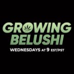 Jim Belushi Instagram – 👀…. New Episode of Growing Belushi on Wednesday, 9 ET/PT, on @discovery channel!