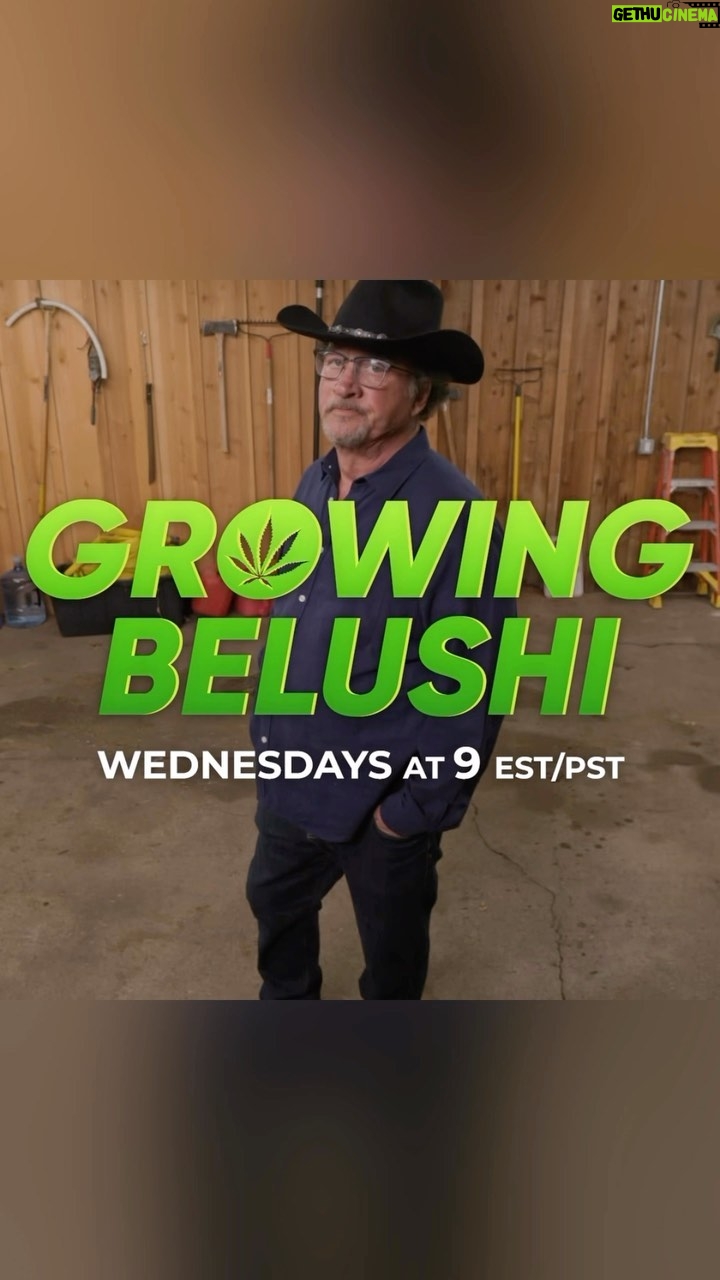 Jim Belushi Instagram - What’s not complicated is that New Episode’s of Growing Belushi are Wednesday’s, 9pm ET/PT on @discovery Channel! 🪴