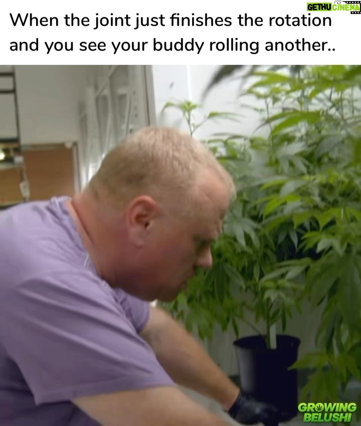 Jim Belushi Instagram - Get it together!! Another great clip from Episode 2 of Growing Belushi on @discovery channel!