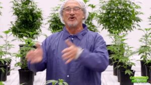 Jim Belushi Instagram - Check out, the just out, Episode 2 of Growing Belushi, and let the Professor know what you think in the comments!! @discovery