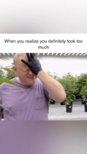 Jim Belushi Instagram - Maybe that 2nd gummy wasn’t needed…. New episode of Growing Belushi, this Wednesday, 9pm ET/PT on @discovery channel!!