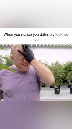 Jim Belushi Instagram - Maybe that 2nd gummy wasn’t needed…. New episode of Growing Belushi, this Wednesday, 9pm ET/PT on @discovery channel!!