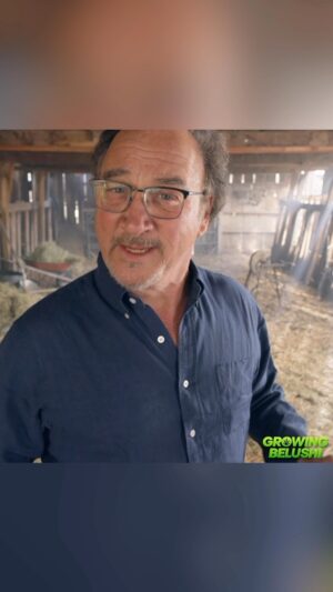 Jim Belushi Instagram - The only mistake would be missing the next new episode of Growing Belushi, this Wednesday, 9pm ET/PT on @discovery channel!!