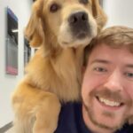 Jimmy Donaldson Instagram - I’ve never seen a dog do this before 😂